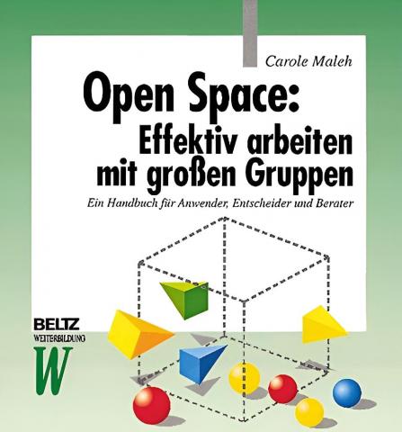 Carole Maleh Open Space Cover restored